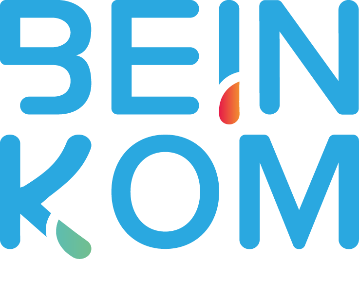 Beinkom portfolio image
